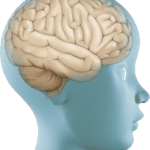 Brain injury