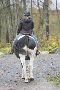 horse riding accident claims 