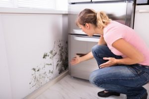 landlord housing disrepair compensation claims for rising damp leading to mould