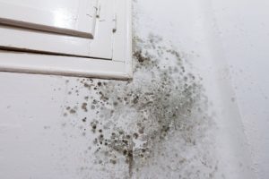 Damp and mould on a wall
