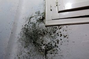 preventing condensation mould compensation claims