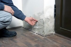 Council housing complaints