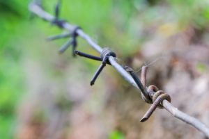 Barbed wire/razor wire cut injury claims