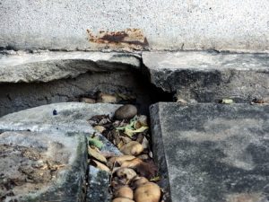 Damaged pavement with trip hazard