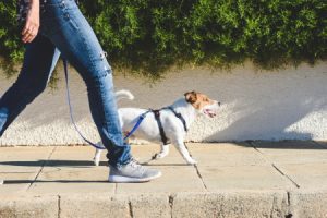 What Is The Pavement Trip Hazard Height In The UK?