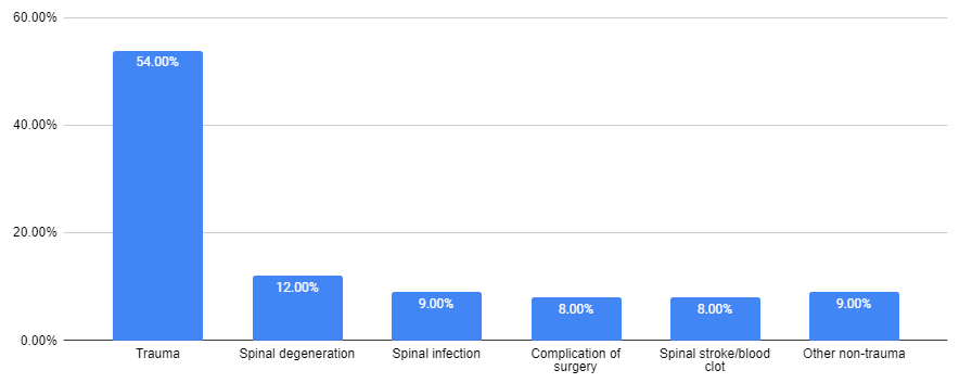 spinal cord injury solicitor statistics graph