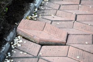 A lifted pavement slab raised above the rest of the pavement. 