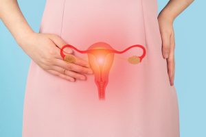 Diagram of a womans reproductive system 