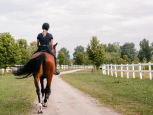 A woman riding a horse on a lane photo taken from behind. 