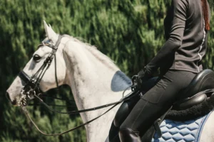 A person in black mounted on a grey horse trees in the background. 